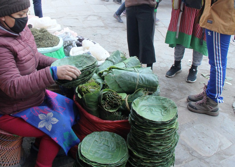 अधबैंसे जोडीको सहारा सालको पात